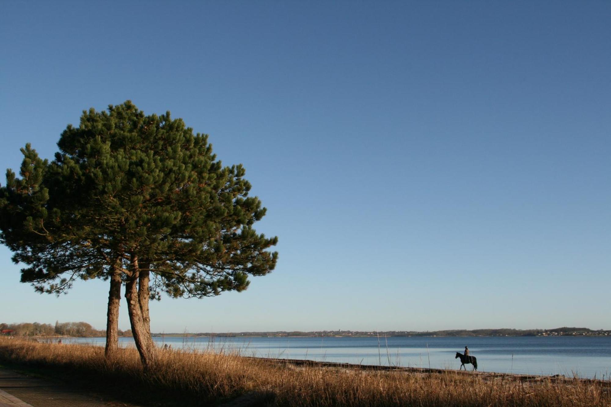 Ostsee-Strandhaus-Holnis Glücksburg Kültér fotó